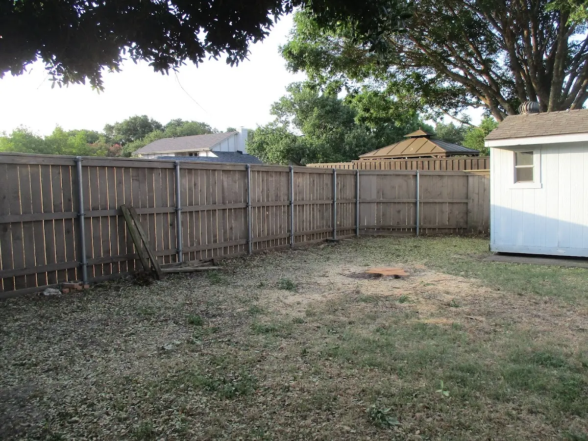 Cleared yard after professional tree removal in Four States